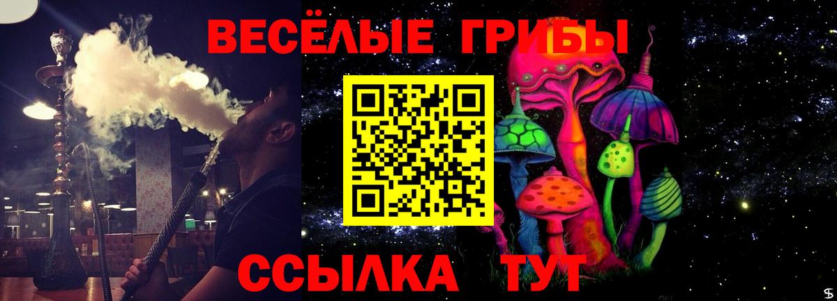Галлюциногенные грибы мухоморы Коммунар