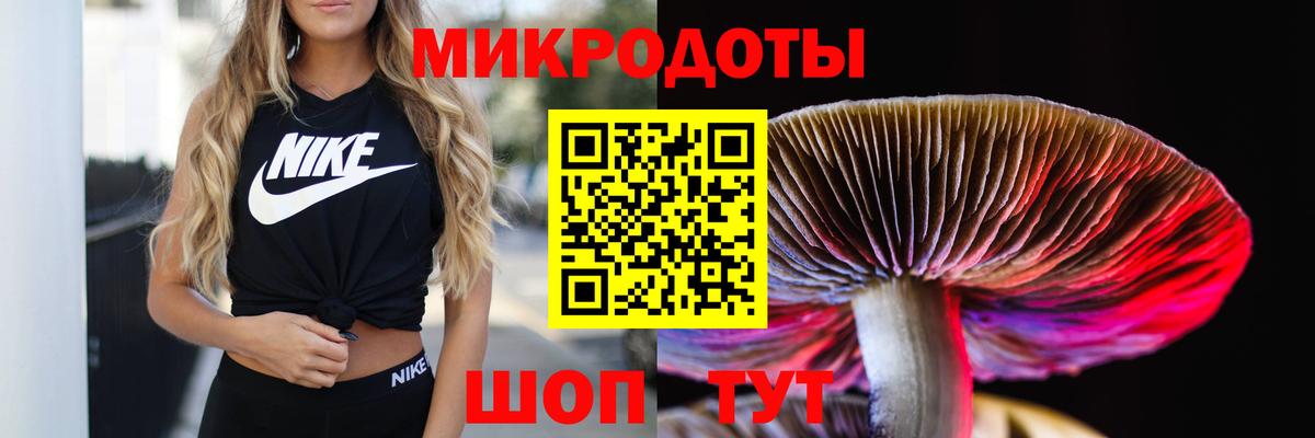 Галлюциногенные грибы мухоморы  Псилоцибиновые грибы Psilocybe  Вход с VPN  Коммунар 